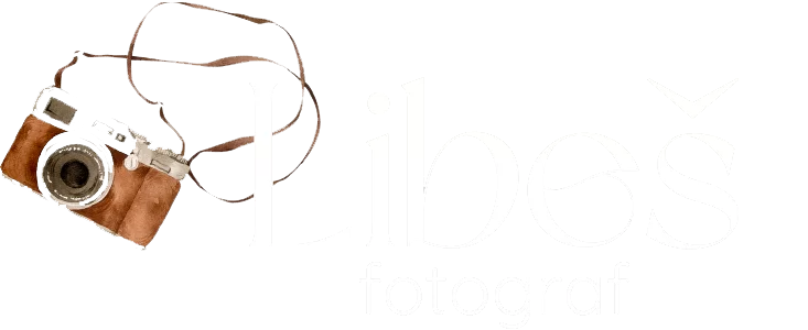 Dominik Libeš Logo