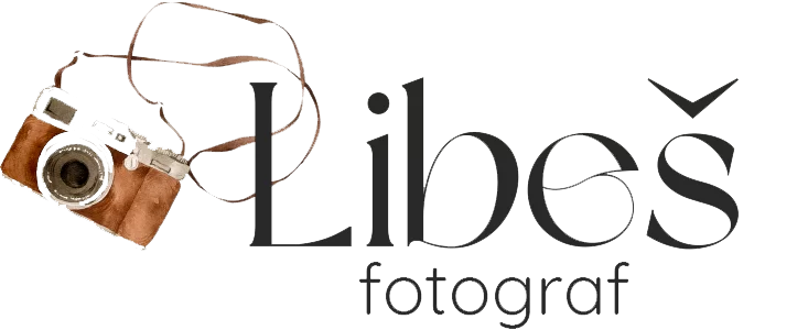 Dominik Libeš Logo